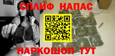 a pvp Новодвинск