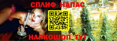 a pvp Новодвинск