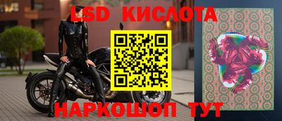 a pvp Новодвинск
