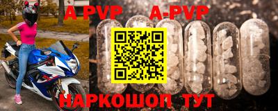 a pvp Новодвинск