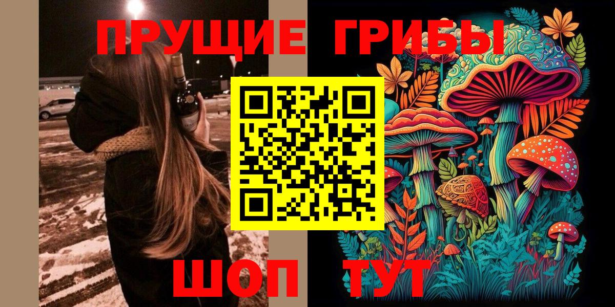 Сосновый Бор  Псилоцибиновые грибы мицелий  Вход с VPN  Галлюциногенные грибы Psilocybine cubensis 