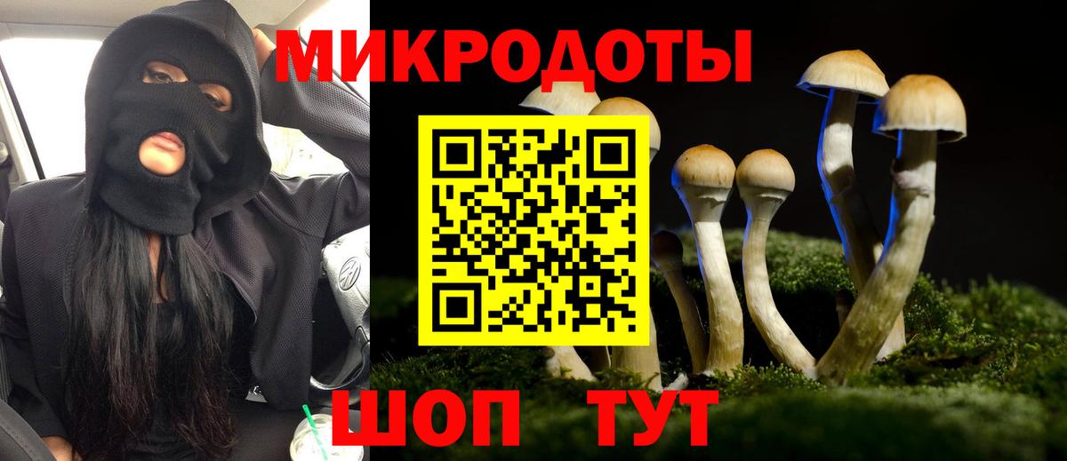 Галлюциногенные грибы Psilocybine cubensis Сосновый Бор